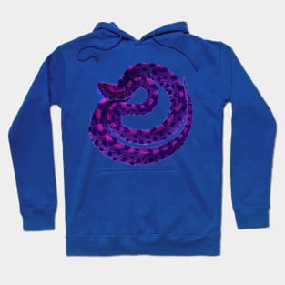 serpent,cobra,reptile,viper,venom,lizard,rattlesnake,king cobra Hoodie